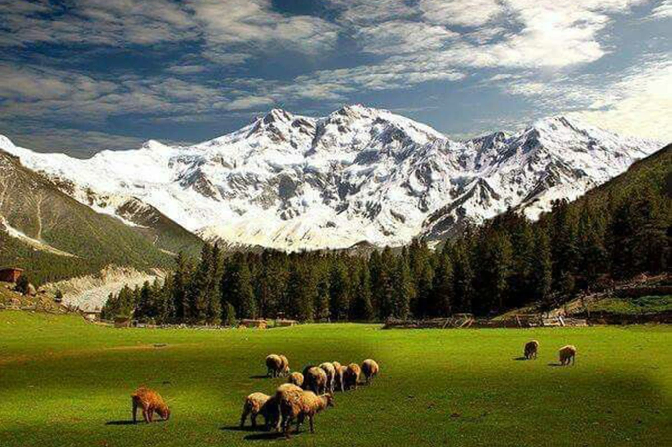 Pahalgam-Pahalgam